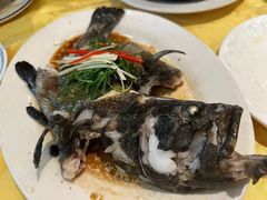 清蒸龙胆石斑-莲花公园煎蟹(总店)