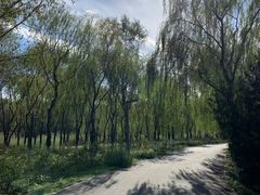 -东郊湿地公园