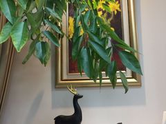 -精德口腔·种植修复·儿牙中心(财富中心店)