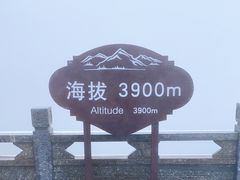 -苍山感通索道