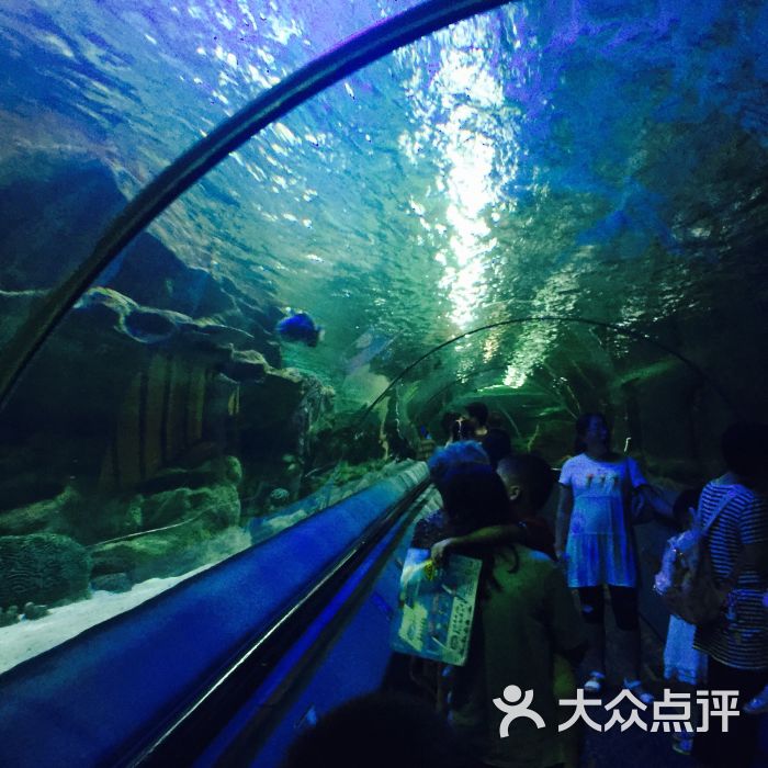 古晓兔_1303上传的图片