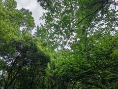 -穹窿山景区