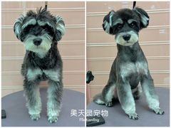 -FAELING PETS美天灵宠物(合生汇店)