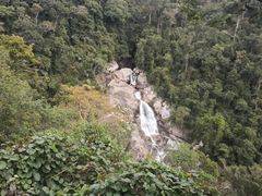 -海南热带雨林国家公园吊罗山景区
