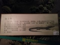 -鄂州市博物馆