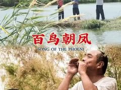 -悦江新远影城IMAX