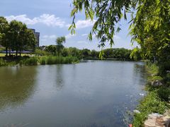 -新江湾城公园