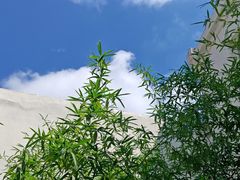 -南枝小馆(银鱼巷店)