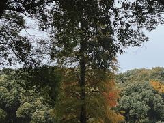 -新洲生态园