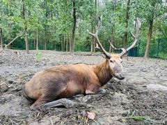 -溱湖国家湿地公园