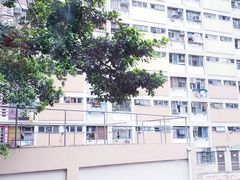 景点-彩虹村