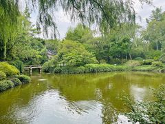 -秋霞圃