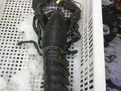 -盒马鲜生(大成店)