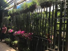 -双季花艺园艺市场(浦东店)