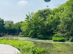 -西溪国家湿地公园