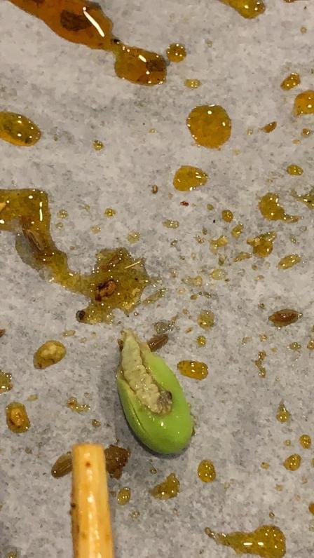 店内也不给解决说没有办法 祝早日倒闭 这个态度再也不会来吃第二次