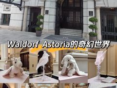 -上海外滩华尔道夫酒店
