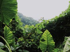 -青芝山风景名胜区