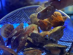 -星海汇海鲜烤肉火锅自助(二七广场百年德化店)