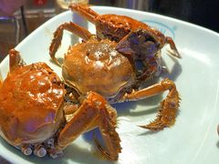-金滏山烤肉·海鲜·火锅自助餐厅(襄阳万达店)