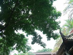 -沐仙湖湿地公园