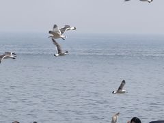 -星海广场