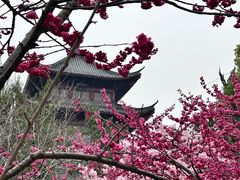 -堤角公园