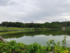 -东莞植物园