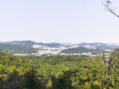 -火炉山森林公园