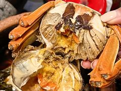 -金龙·打边炉(南京西路店)