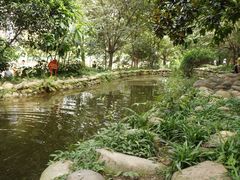 水池-成都市活水公园