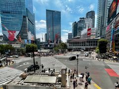 -涩谷全向十字路口
