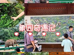-野象谷景区