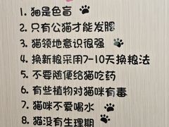 -唐小姐の私宠·宠物洗护美容·撸猫馆·购宠(周浦万达旗舰店)