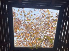 -春晖园度假酒店温泉