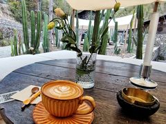 -MOJ coffee(瓯海泽雅水碓坑店)