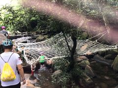 -呀诺达热带雨林