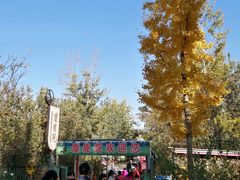 -北京麋鹿生态实验中心