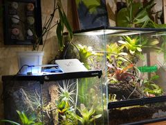 -Rabbit Cafe私房西餐甜点咖啡(栖霞路店)