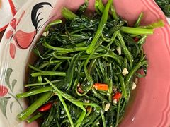 -Kat's Kitchen