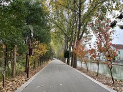 -同里国家湿地公园