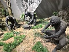 -北京周口店北京人遗址博物馆