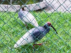 -下渚湖国家湿地公园科普馆