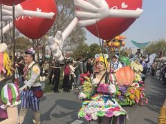 -荷兰花海