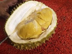 -都念榴莲·城市榴莲