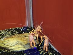 -大连圣亚海洋世界