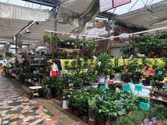 -秦美花卉(天朗·莱茵小城2期店)