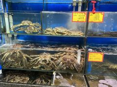 -蚝专家(北滘店)