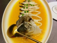 -骏莱海鲜鱼港(五角场店)