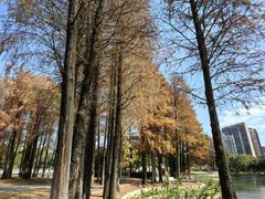 -四海公园(南山区)